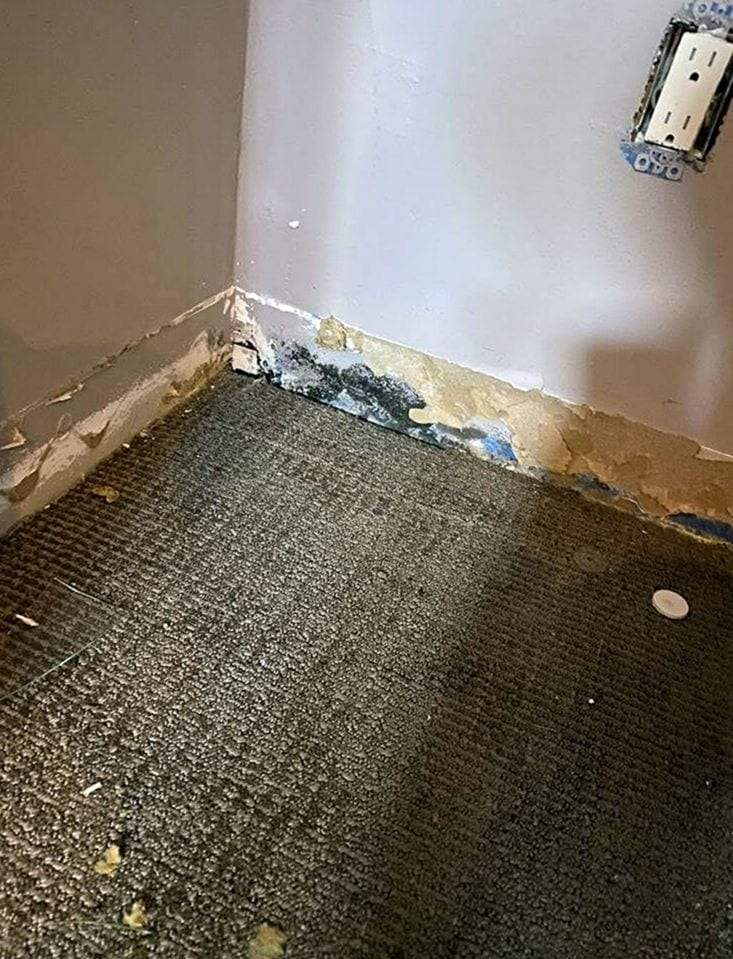 A room corner with the baseboard removed, showing water-damaged drywall with dark mold staining along the bottom, gray carpet below and the cover off a wall outlet